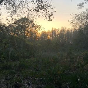 Meet your Posher, Cedrick